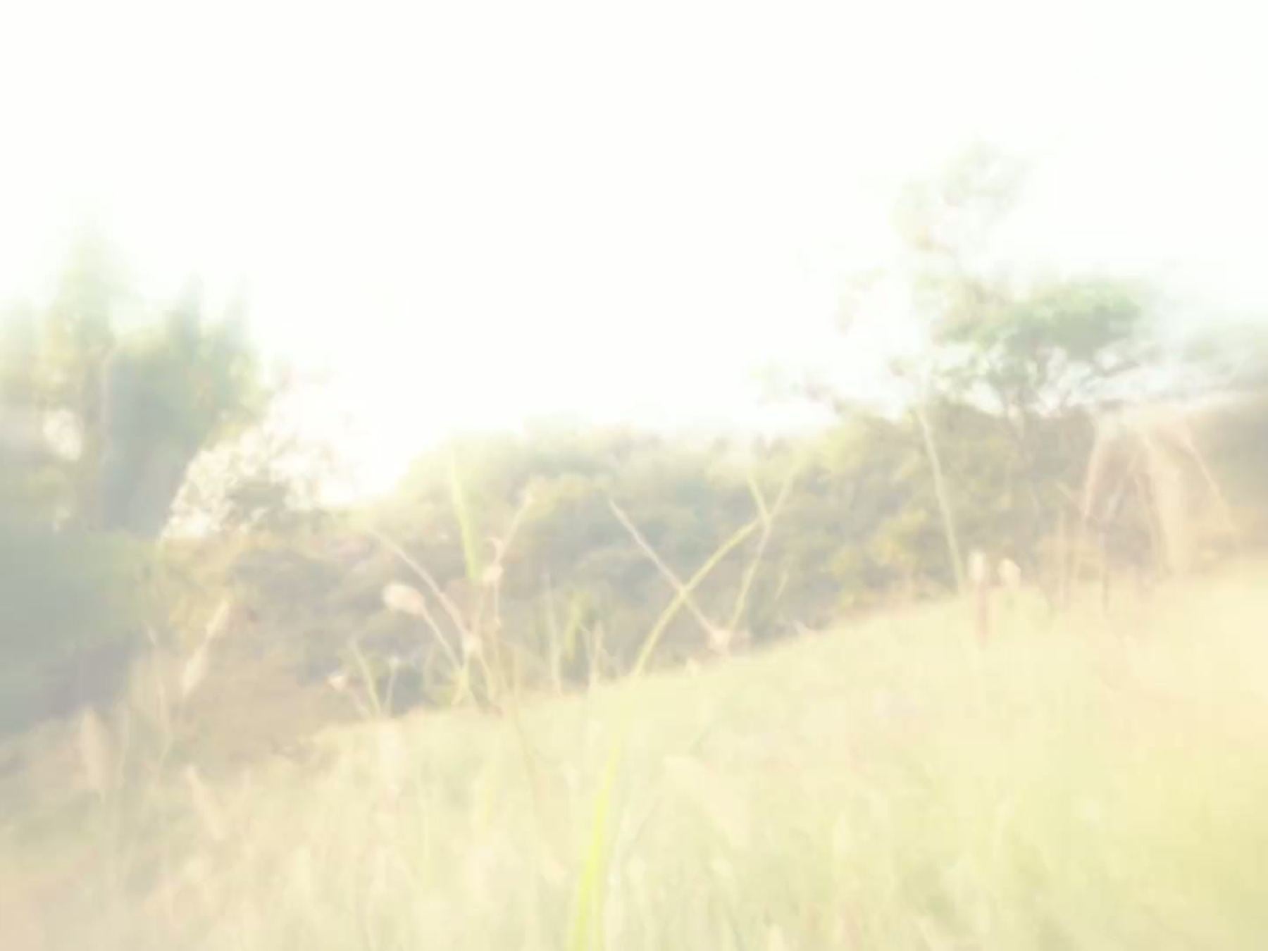 Silk Road campaign film